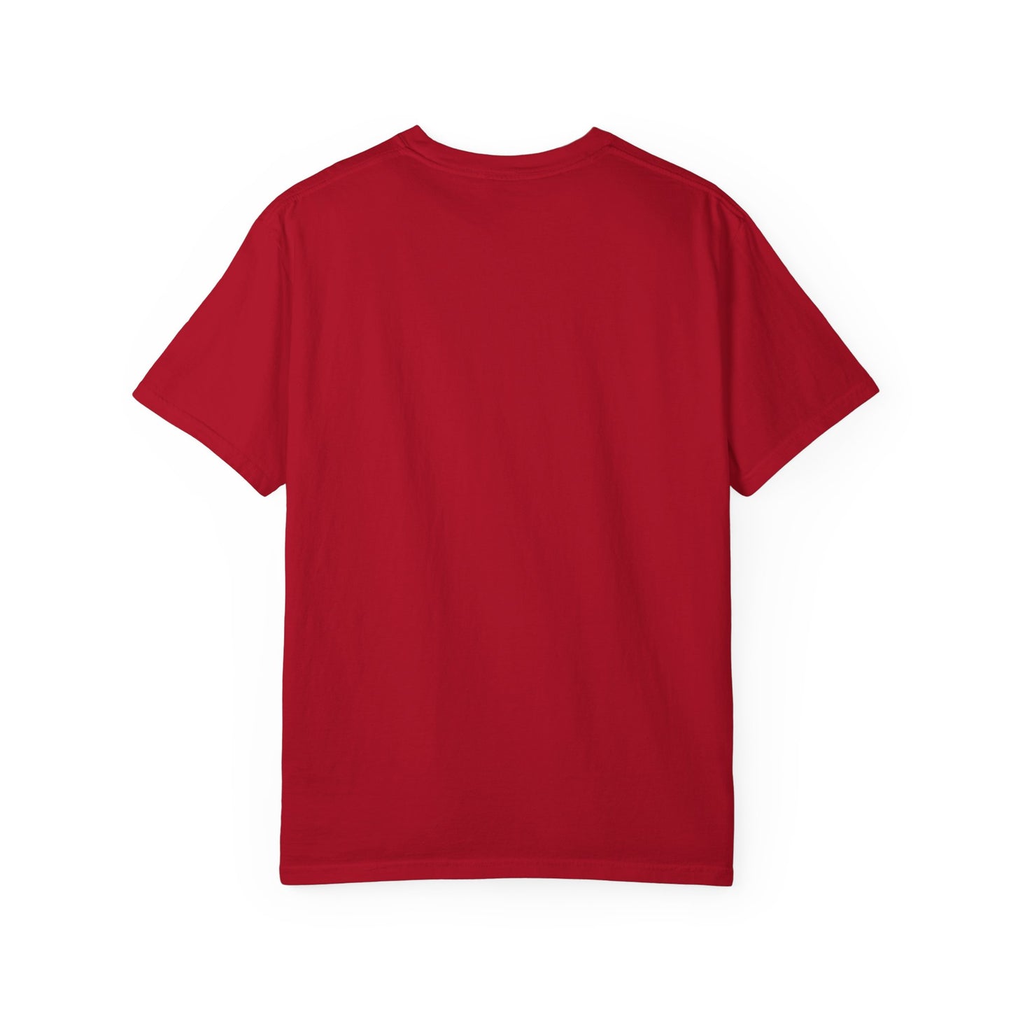 Non-Verbal T-Shirt – “I Am Non-Verbal and Prefer Not to Interact Today”