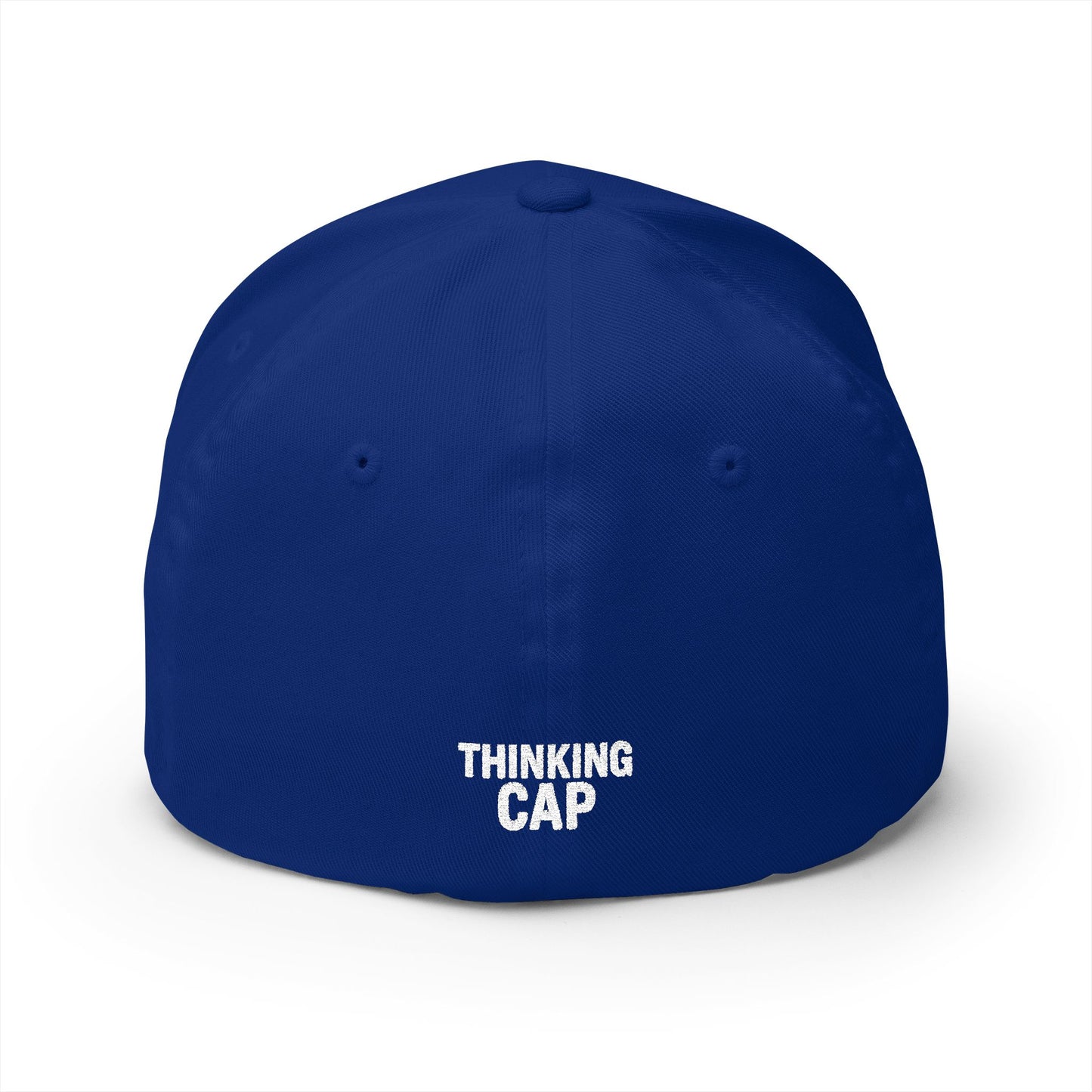 Apparently Autistic Embroidered "Thinking" Cap