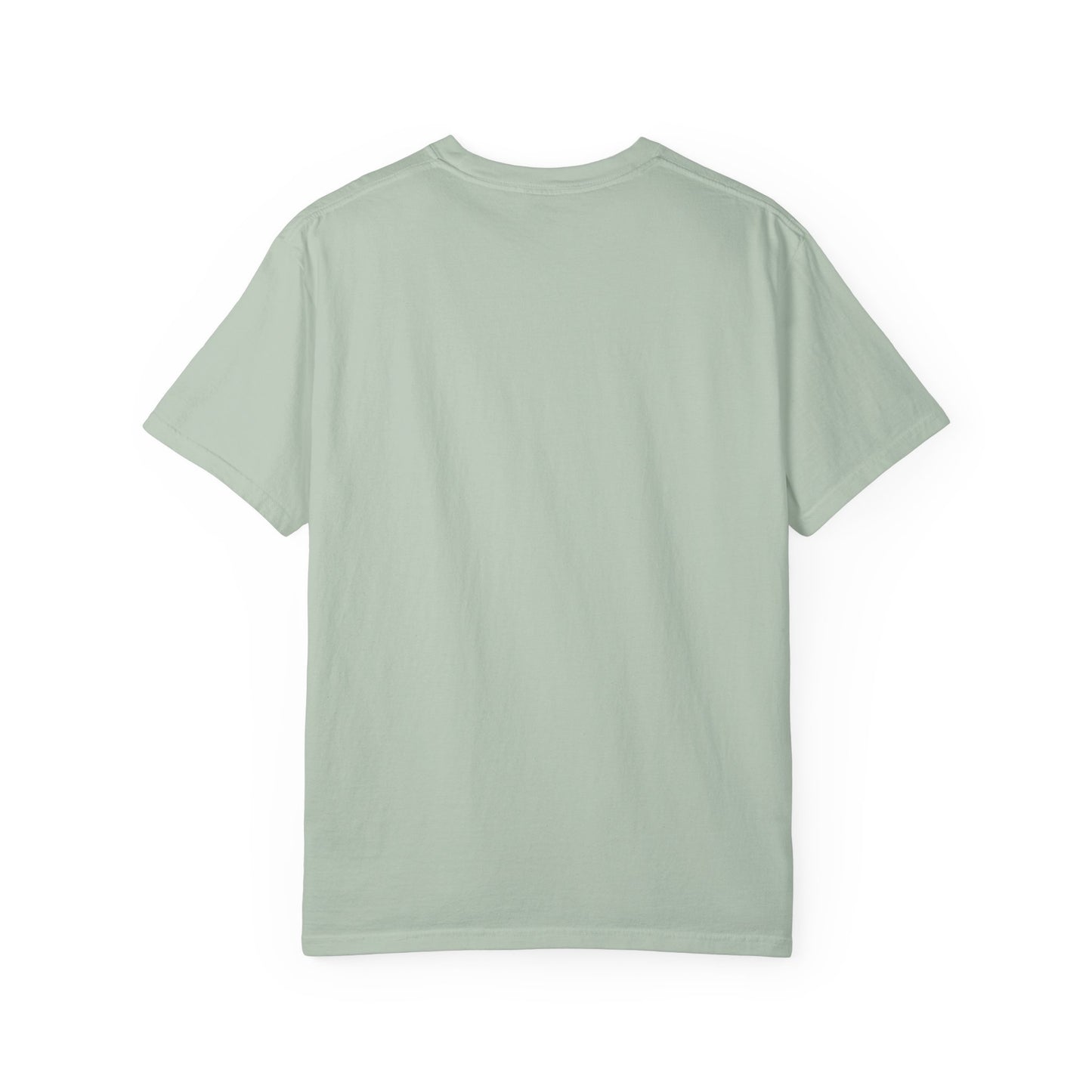 Apparently Autistic – Don’t Talk to Me Until I’ve Recharged T-Shirt